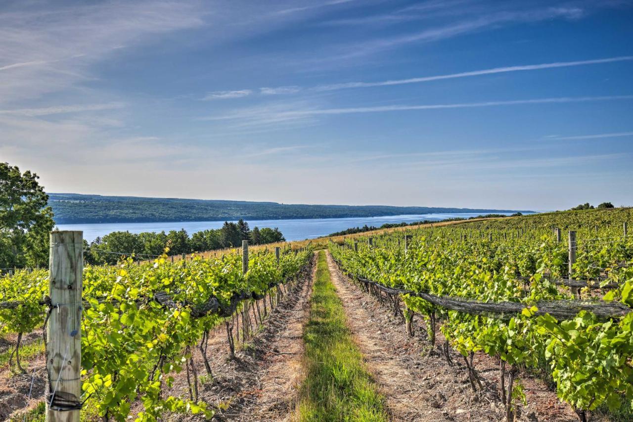 Finger Lakes Farm Retreat Walk To Wineries! Hector Buitenkant foto