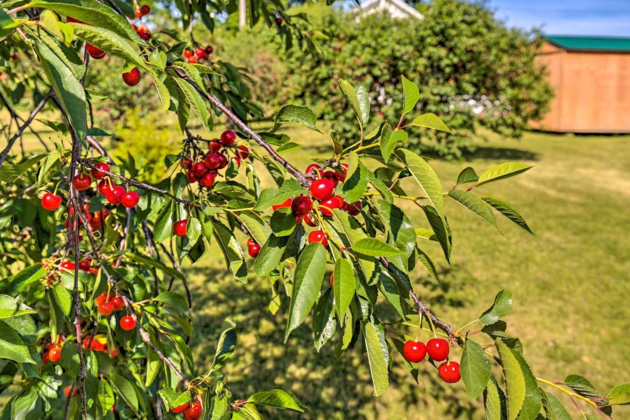 Finger Lakes Farm Retreat Walk To Wineries! Hector Buitenkant foto