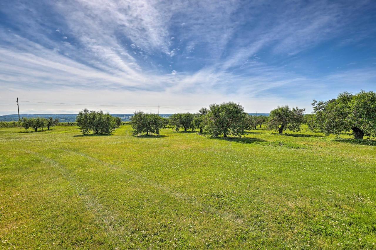 Finger Lakes Farm Retreat Walk To Wineries! Hector Buitenkant foto