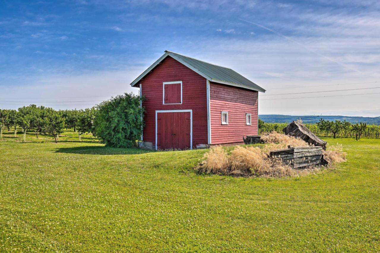 Finger Lakes Farm Retreat Walk To Wineries! Hector Buitenkant foto