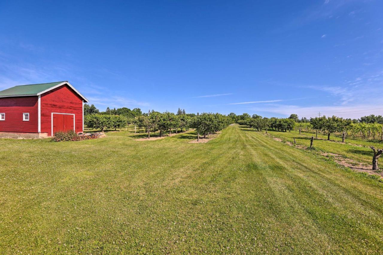 Finger Lakes Farm Retreat Walk To Wineries! Hector Buitenkant foto