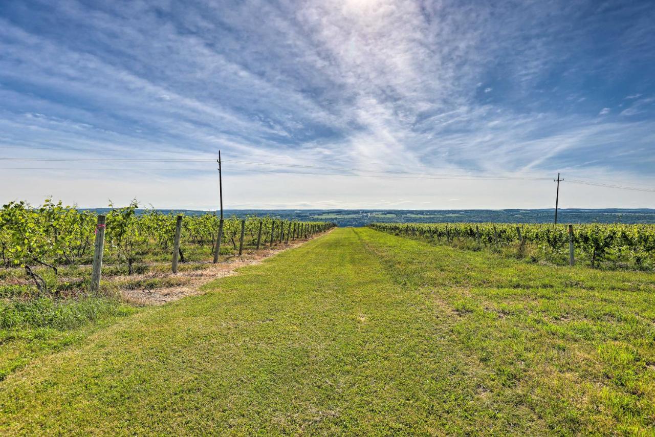 Finger Lakes Farm Retreat Walk To Wineries! Hector Buitenkant foto